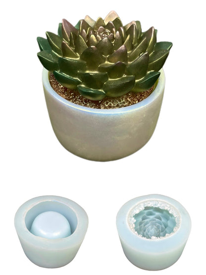 Succulent Resin Molds – 9cm Silicone Molds for DIY Jewelry Box or Planter