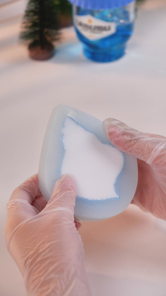 Seashell Fridge Magnet